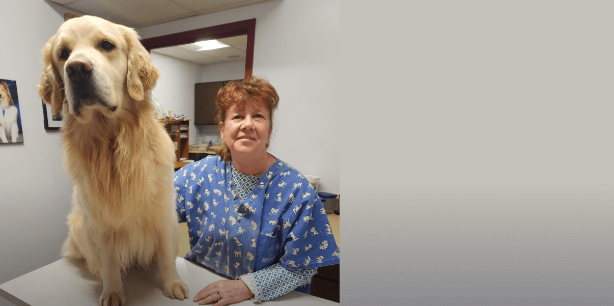 A refreshing new vet experience starts here